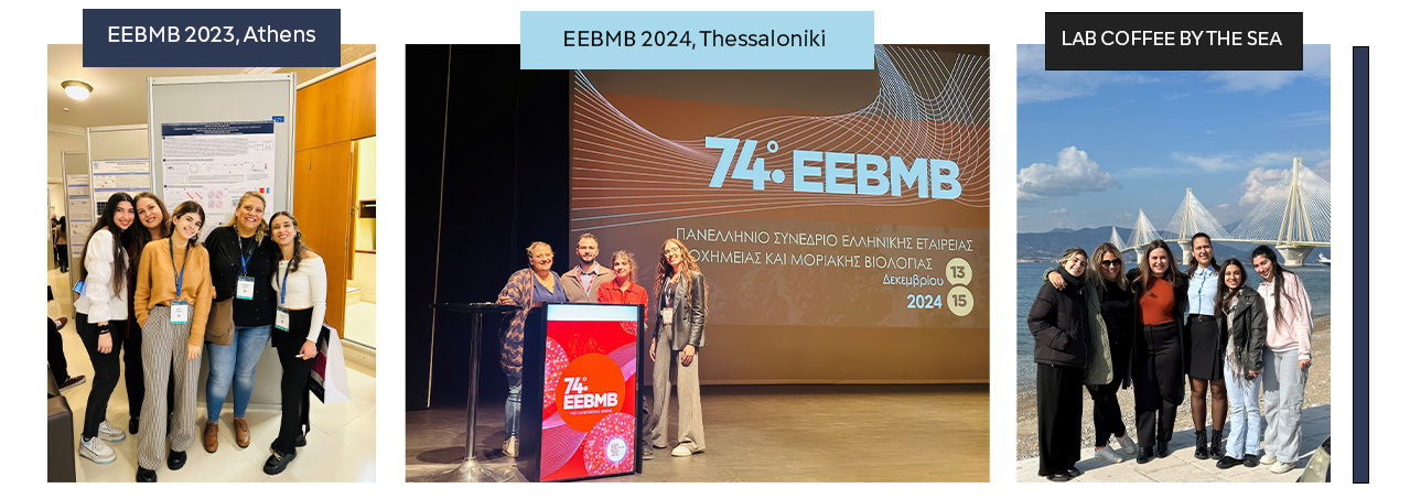 Slide_3