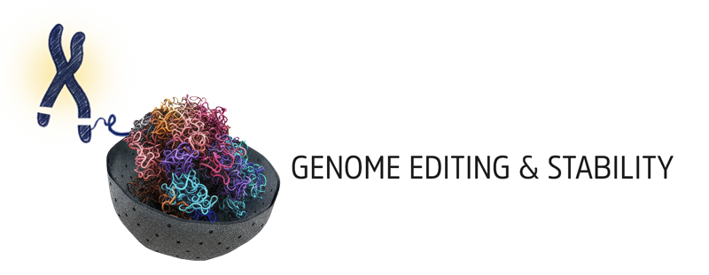 Roukos LAB