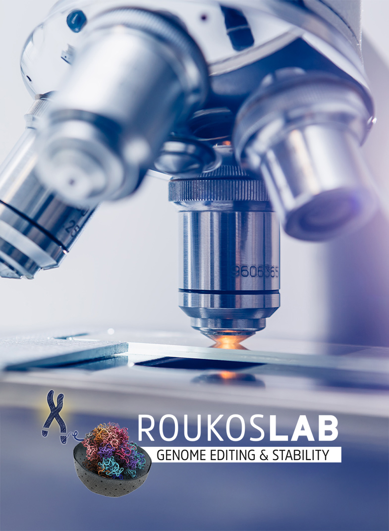 lab_photo_v2